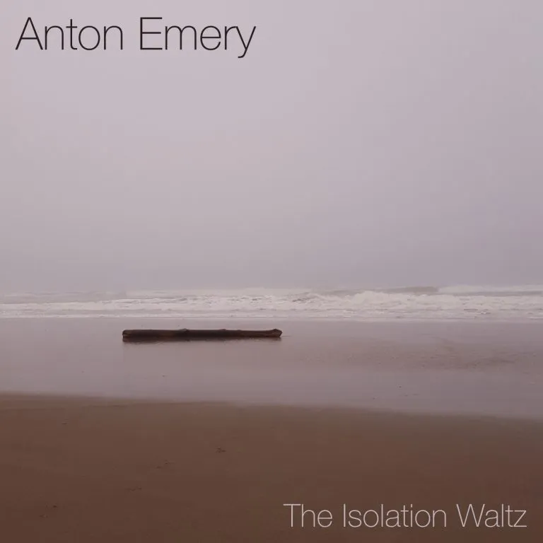 The Isolation Waltz cover art, a photograph of a log lying on the beach during low tide.